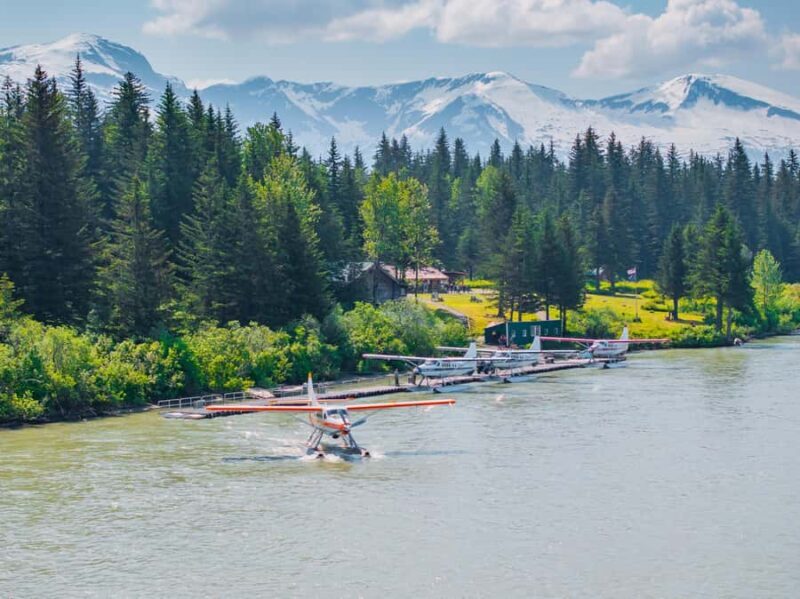 Juneau: Taku Glacier Lodge 5-Glacier Flight & Feast - Authentic Experiences and Traveler Sentiments