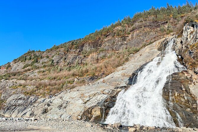 Juneau Top Sight Seeing Private Tour - Final Thoughts