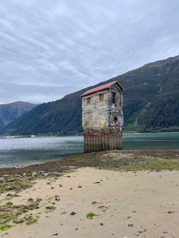 Juneau: Treadwell City Ruins Guided Walking Tour - Practical Details and What to Expect