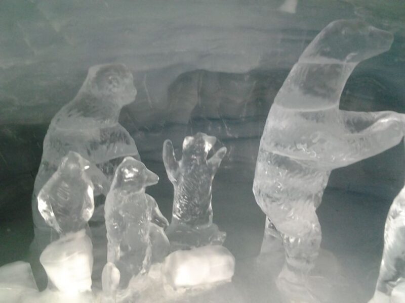 Jungfraujoch Top of Europe Private Day Trip from Basel - FAQ