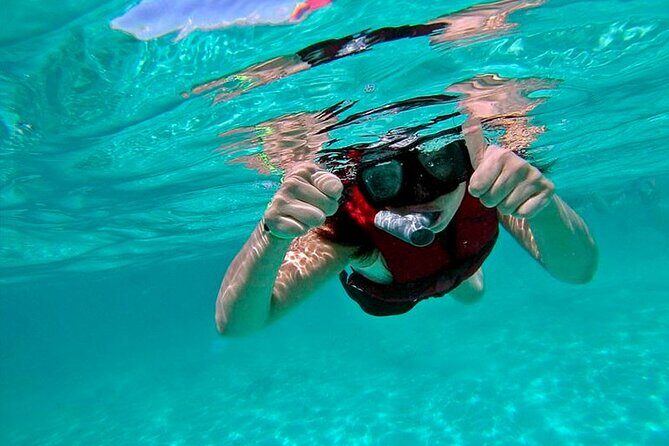 Jungle Adventure Tour in Cancun by Speedboat with Snorkeling - A Closer Look at the Experience