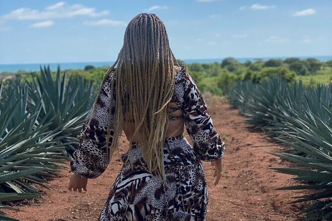 Jungle and beach ATV tour + lunch + tequila tasting - Frequently Asked Questions