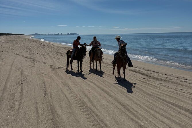 Jungle and Beach Horseback ride Tour in Pacific Coast - The Details That Matter