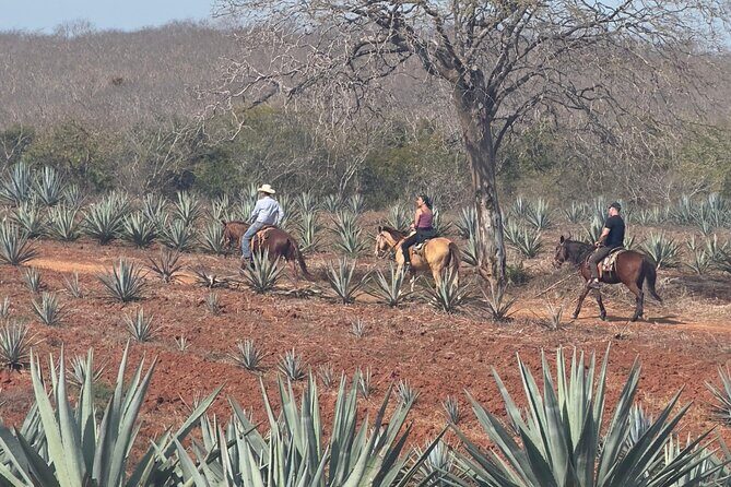 Jungle and Beach Horseback ride Tour in Pacific Coast - Final Thoughts