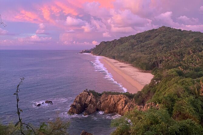 Jungle & Beach: Hidden treasures between the Jungle and the Coast - A Closer Look at the Jungle & Beach Tour