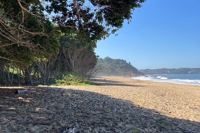 Jungle & Beach: Hidden treasures between the Jungle and the Coast - Practical Details and Considerations