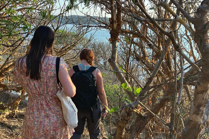 Jungle & Beach: Hidden treasures between the Jungle and the Coast - Why You Should Consider This Tour