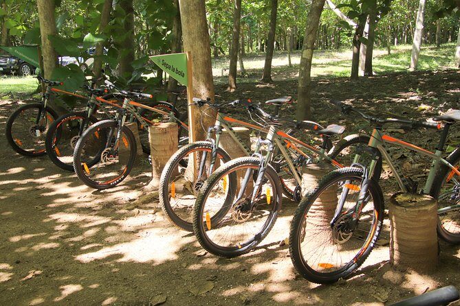 Jungle Bike Tour - An In-Depth Look at the Jungle Bike Tour