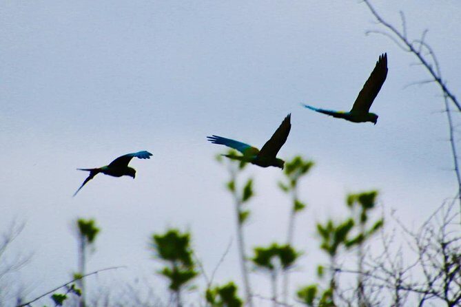 Jungle Bike Tour - The Sum Up: Is It Worth It?