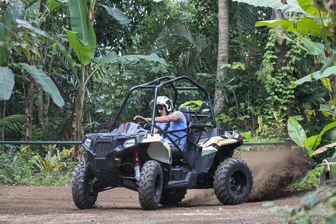 Jungle Buggy Adventure and Ubud Tour - The Sum Up