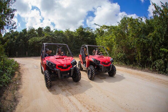 Jungle Buggy Tour from Playa del Carmen Including Cenote Swim - What to Expect on the Jungle Buggy Tour