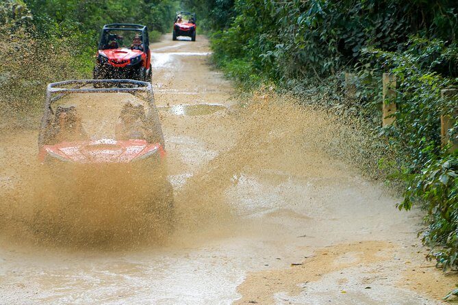 Jungle Buggy Tour from Playa del Carmen Including Cenote Swim - Who Should Consider This Tour?