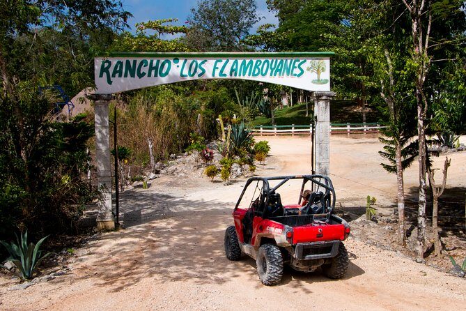 Jungle Buggy Tour from Playa del Carmen Including Cenote Swim - The Sum Up: Is It Worth It?