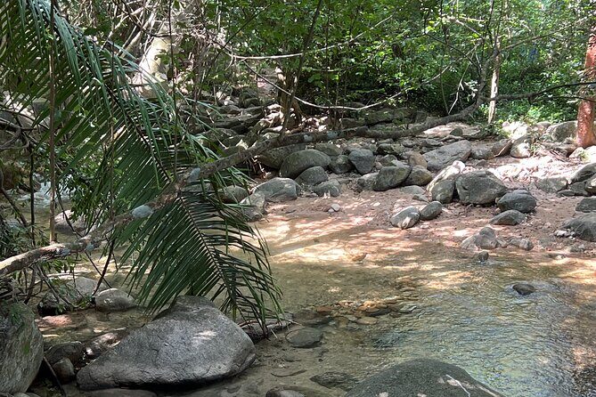 Jungle Cascade Adventure - In-Depth Review of the Jungle Cascade Adventure