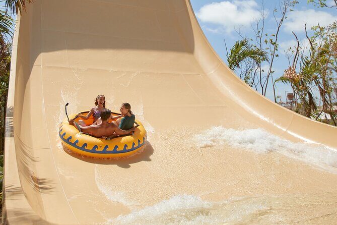 Jungle - Introduction