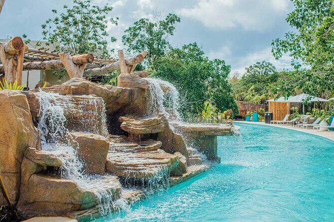 Jungle - How It Fits into Your Trip