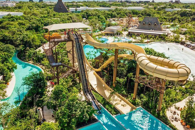 Jungle - Authentic Traveler Insights & Practical Tips