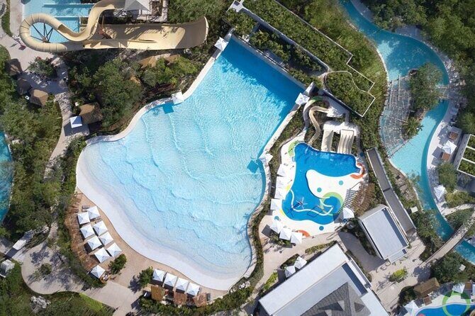 Jungle - Pricing & Value