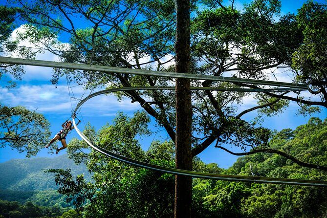 Jungle Flight Zipline Roller Coaster - The Experience: What to Expect from Start to Finish
