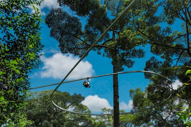 Jungle Flight Zipline Roller Coaster - Final Thoughts: Is It Worth It?