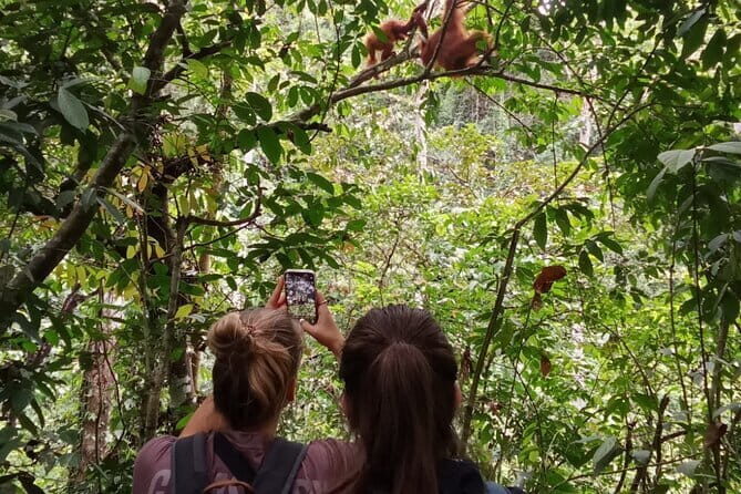 Jungle Immersion Trek 2 Days and 1 Night - Frequently Asked Questions