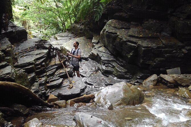 Jungle River Trek: private tour in Yanbaru, north Okinawa - Key Points