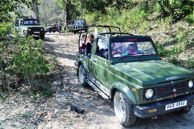 Jungle safari near Rishikesh inside Rajaji National Park - Who Would Love This Safari?