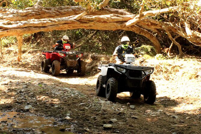 Jungle Single ATV Tour "El Mirador" - What to Expect from the Jungle Single ATV Tour "El Mirador"