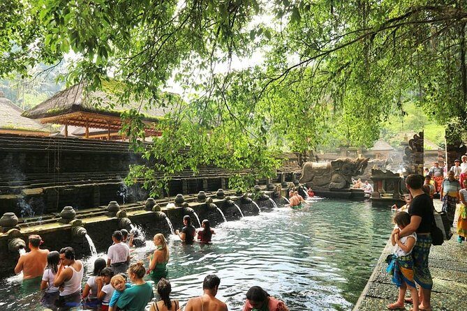 Jungle Swing - Volcano - Water Temple - Monkey Forest and Waterfall Tour - An In-Depth Look at the Bali Jungle Swing & Cultural Tour
