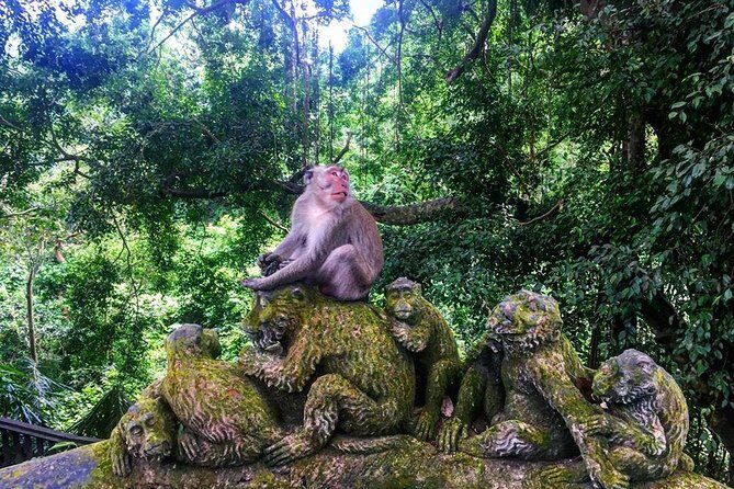 Jungle Swing - Volcano - Water Temple - Monkey Forest and Waterfall Tour - The Sum Up