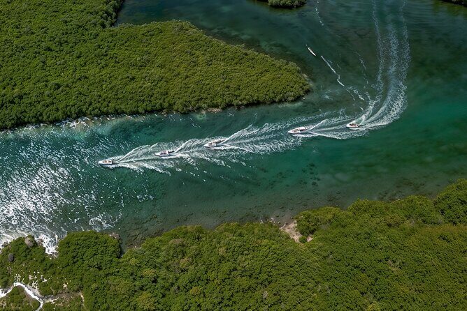 Jungle Tour - The Sum Up