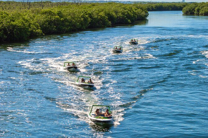 Jungle Tour Adventure Cancun: Jungle Tour Cancun Explore - Navigating the Nichupte Lagoon and Mangroves