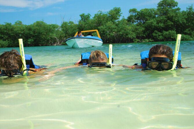 Jungle Tour Adventure in Cancun with Snorkeling - The Sum Up
