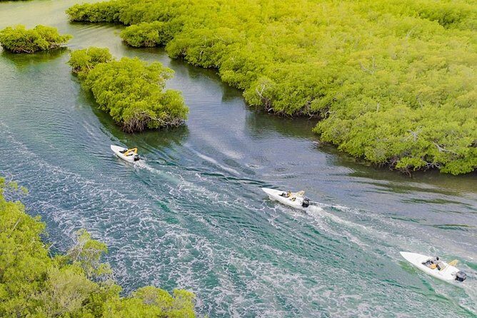 Jungle Tour . Lagoon, Mangrooves & Snorkel for Couples - Exploring the Jungle Tour: Lagoon, Mangroves & Snorkeling Adventure for Couples