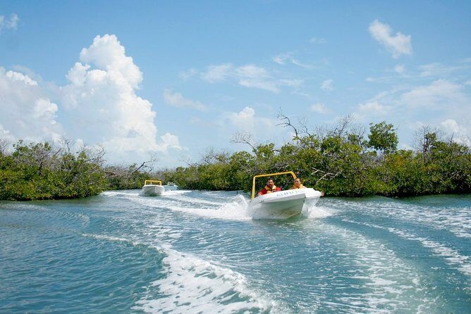 Jungle Tour - Mangroves & Snorkel For Couples - What Travelers Say