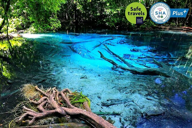 Jungle Tour to Emerald Pool, Krabi Hot Spring and Tiger Cave Temple - What the Reviews Say: Real Traveler Perspectives