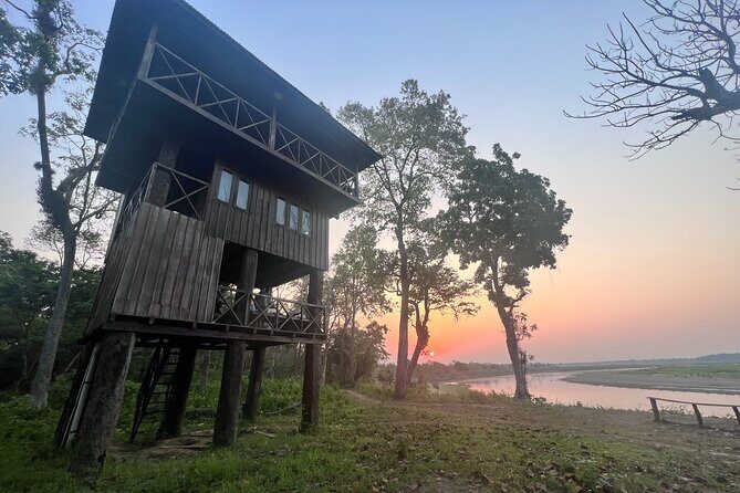 Jungle Towernight Stay: 4-Day Tour in Chitwan National Park - Exploring the Itinerary in Detail