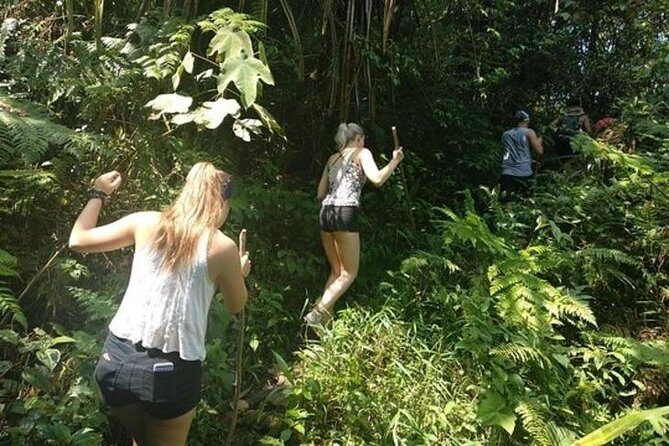 Jungle Tracking & Volcano Crater - Practical Tips