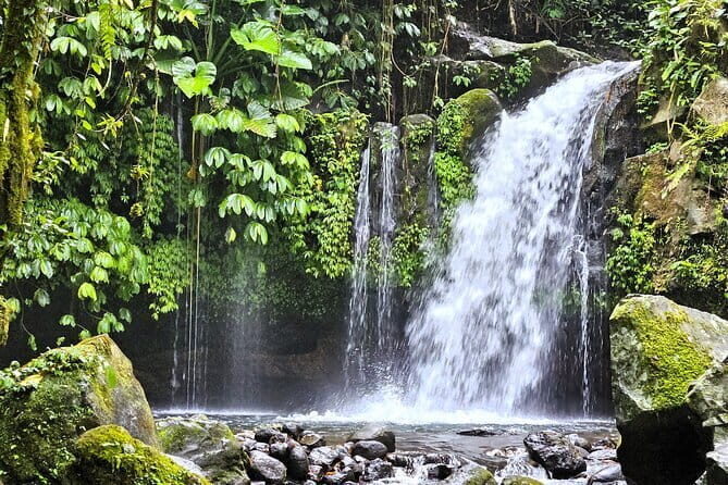 Jungle Trekking at Mt. Batukaru, scenic Waterfall & village life - Key Points
