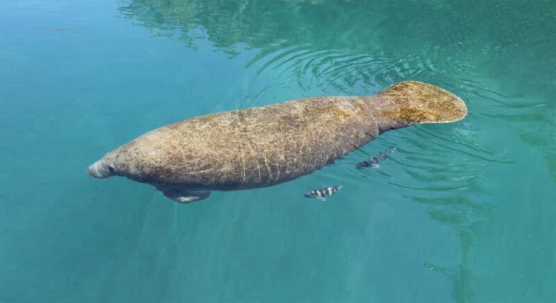 Jupiter: Narrated History & Celebrity Boat Tour - What Sets This Tour Apart