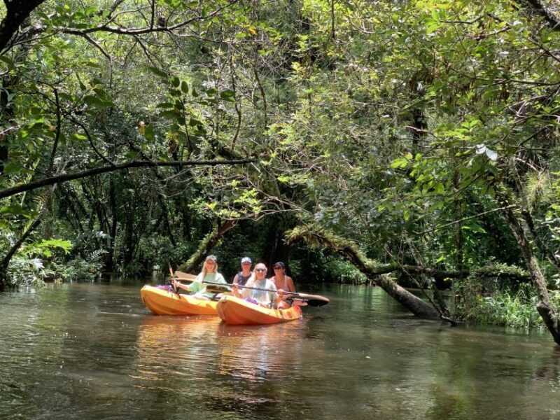 Jupiter: Wild and Scenic Loxahatchee River Kayak Tour - Key Points