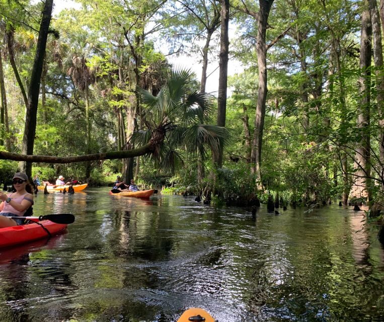 Jupiter: Wild and Scenic Loxahatchee River Kayak Tour - Price and Value Analysis