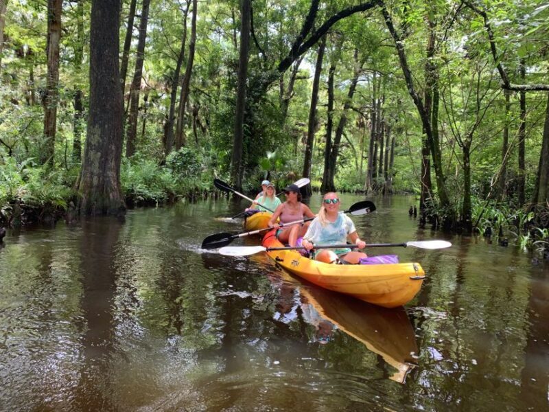 Jupiter: Wild and Scenic Loxahatchee River Kayak Tour - Final Thoughts
