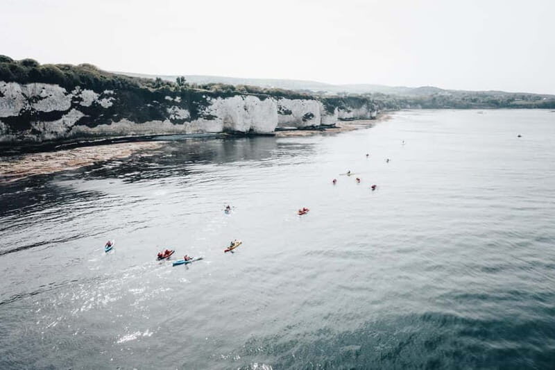 Jurassic Coast Kayaking Tour to Old Harry Rocks - The Itinerary: What You Can Expect
