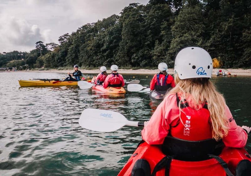 Jurassic Coast Kayaking Tour to Old Harry Rocks - Who Should Book This Tour?