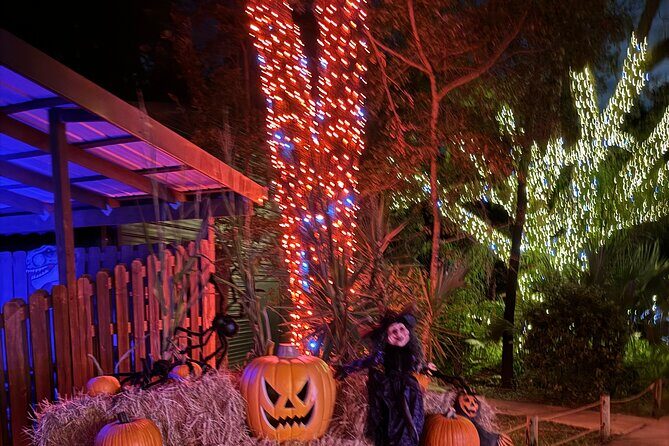 Jurassic Haunt at Dinosaur World - Who Should Consider This Experience?