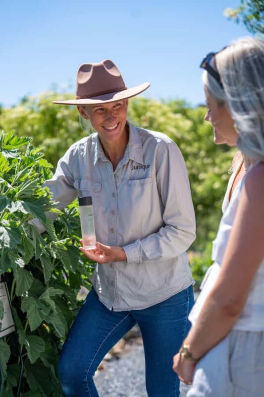 Jurlique Handpicked Masterclass - A Deep Dive into the Jurlique Handpicked Masterclass