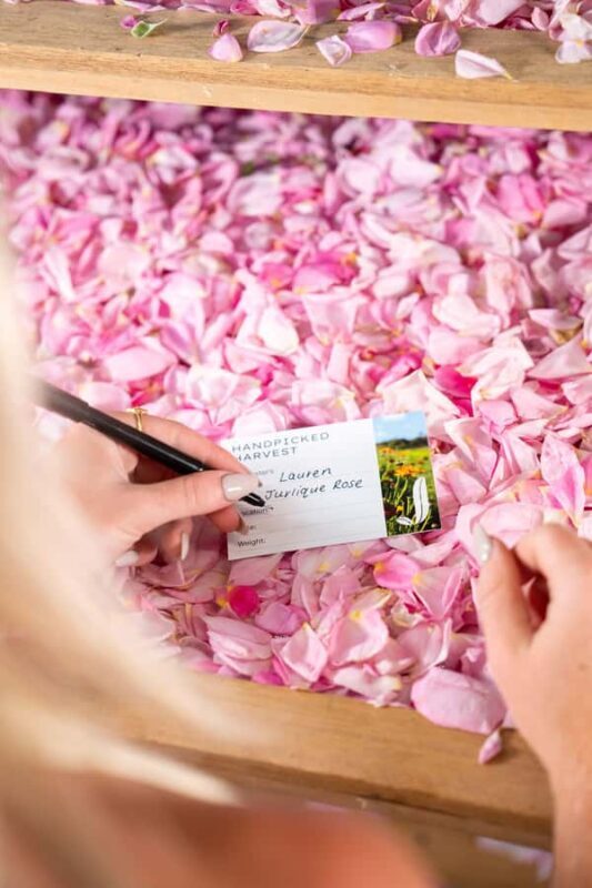 Jurlique Handpicked Masterclass - Final Thoughts