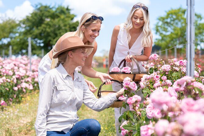 Jurlique Handpicked Masterclass - Exploring the Jurlique Handpicked Masterclass: A Genuine Connection to Nature and Skincare