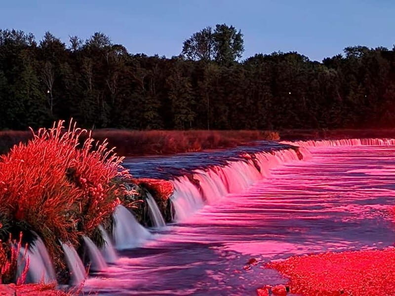 Jurmala,Kuldiga,Ragaciems Beach, Kemeri N park, Food & Drink - Authentic Insights from Past Travelers